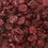 Azar Dried Cranberry, 5 Pounds, 1 per case, Price/Case
