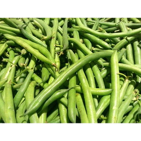 Commodity Extra Standard 4 Sieve Green Beans #10 Can - 6 Per Case