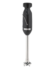 Mixer Immersion 1/1 Cnt