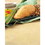 Krusteaz Premium American Breadcrumb Fine, 20 Pound, 1 per case, Price/Case