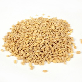 Commodity Pearl Barley Bean 25 Pounds Per Pack - 1 Per Case