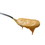 Azar Creamy Peanut Butter, 5 Pounds, 2 per case, Price/Case