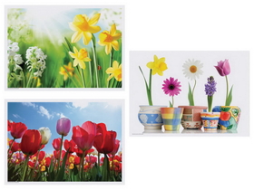 Hoffmaster Placemat Paper Spring 10X14, 1000 Each, 1 Per Case