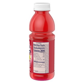 Welch's Fruit Punch Pet Bottle Drink, 16 Fluid Ounces, 12 per case