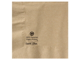 Hoffmaster Earth Wise 10 Inch X 10 Inch 2 Ply 100% Recycled Kraft Beverage Napkin, 250 Each, 12 per case