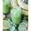 Pacific Foods Organic Original Coconut Milk, 32 Fluid Ounces, 12 per case, Price/CASE