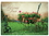 Hoffmaster Placemat "Welcome To Our Place" 9.75X14, 1000 Each, 1 per case, Price/Case