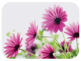 Traymat Paper Bright Daisy 13.625X18.75