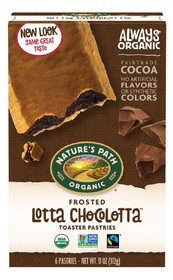 Nature's Path Chocolate Frosted Toaster Pastry, 11 Ounce, 12 Per Case
