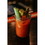 Major Peters FGBVMJP63 Major Peters Original Bloody Mary Mix 12/32 Oz, Price/case