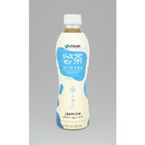 Ito En 01430 Jasmine Green Tea + Milk 12-11.8 Fluid Ounce