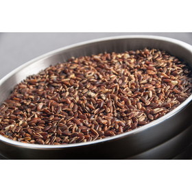 Inharvest Inc Rice Sprouted Sienna Red, 25 Pounds, 1 per case