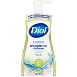 Dial Foaming Hand Wash Antibacterial Soothing White Tea, 10 Fluid Ounce, 8 Per Case