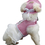 12 PCS Wholesale TopTie Round Brim Pet Cap Visor Hat Pet Dog Mesh Porous Sun Cap with Ear Holes for Small Dogs
