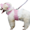 TopTie Round Brim Pet Cap Visor Hat Pet Dog Mesh Porous Sun Cap with Ear Holes for Small Dogs