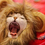 TopTie Lion Mane Wig Pet Costume with Lion Ears, Pet Hat