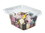 Prepack Licorice Allsorts 12/9.5oz, 053256, Price/Case