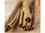 Dutch Valley 12-inch Cinnamon Sticks 1lb, 102110, Price/Case
