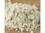 Spices Horseradish Powder 5lb, 102740, Price/Each