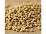 Dutch Valley Mustard Seeds #1 5lb, 103030