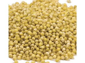 CHS Food Grade Millet 25lb, 155020