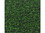 Kerry Green Nonpareils 8lb, 168099, Price/Each