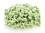 Clasen Green Mint Chip 4M 25lb, 223152, Price/Each