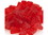 Paradise Fruit Red Pineapple Wedges 10lb, 376108, Price/Case