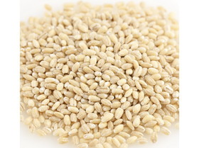 Organic Organic Pearled Barley 25lb, 420150