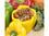 Bulk Foods Stuffed Pepper Soup Starter 15lb, 428827, Price/Case