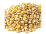 Amish Country Popcorn Ladyfinger Popcorn 50lb, 496500