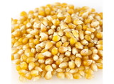 Amish Country Popcorn Medium Yellow Popcorn 50lb, 496511