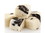 Country Fresh Oreo Cookie Fudge 6lb, 599003, Price/Each