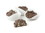 Asher's Milk Chocolate Cashew Clusters, Sugar Free 5lb, 601718, Price/each