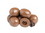 Albanese Milk Chocolate Espresso Beans 10lb, 628446, Price/Case