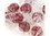 Primrose Filled Raspberries 30lb, 635223, Price/Each