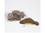 Lil Turtles Milk Chocolate Caramel Pecan Turtles 24ct, 640510, Price/Case