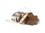 Giannios Candy Milk Chocolate Coconut Island 10lb, 643134, Price/Case