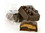 Giannios Candy Dark Chocolate Peanut Butter 10lb, 643148, Price/Case