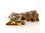 Giannios Candy Milk Chocolate Peanut Clusters 10lb, 643150, Price/Case