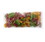 Darrell Lea Australian Mixed Fruit Licorice, Naturally Flavored 15.4lb, 676118, Price/case