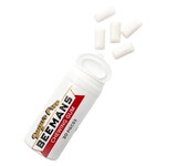 Gerrit Verburg Beemans Sugar Free Gum Tubes 12ct, 699986