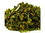Diced Sweet Green Bell Peppers 10lb, 810396, Price/Case