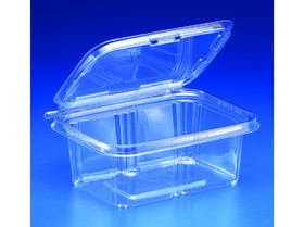 Safe-T-Fresh Containers TS32 200/32oz, 848012