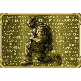Eagle Emblems B0144 Buckle-Wounded Warrior (3-1/4")