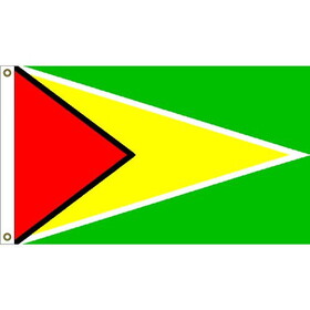 Eagle Emblems F1041 Flag-Guyana (3ft x 5ft)