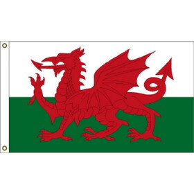 Eagle Emblems F1120 Flag-Wales (3ft x 5ft)