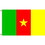 Eagle Emblems F1165 Flag-Cameroon (3Ftx5Ft) .