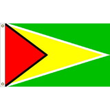 Eagle Emblems F2041 Flag-Guyana (2ft x 3ft)