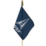 Eagle Emblems F8429 Flag-Ussf Logo (12